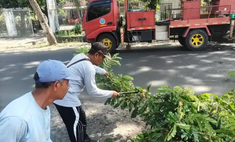 DLH Lotim Mulai Pangkas Ranting Pohon Jelang Musim Hujan