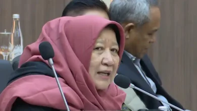 DPR RI Usulkan Legalisasi Ganja untuk Keperluan Medis