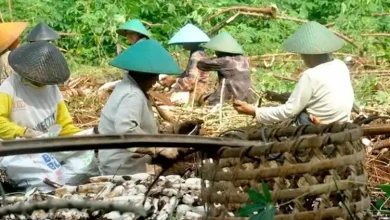 Saminar Salit Pacu Pembangunan Desa Lewat Infrastruktur hingga Pemberdayaan Petani