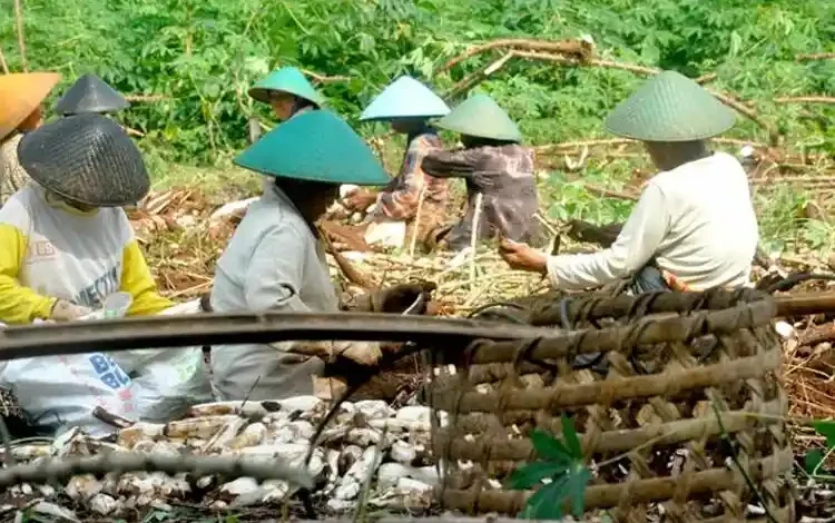 Saminar Salit Pacu Pembangunan Desa Lewat Infrastruktur hingga Pemberdayaan Petani