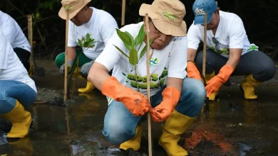 Wabup Edwin Rencanakan Penerangan Jalan di Desa Jerowaru