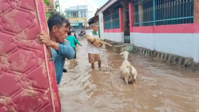 Bima Mulai Dilanda Banjir