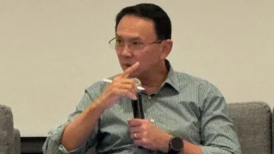 Ahok Tolak Rencana Prabowo Buka Lahan Sawit di Papua