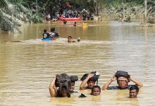 Warga mengarungi banjir setinggi leher orang dewasa di Kuala Simpang, Aceh Tamiang, Aceh, 30 November 2025.