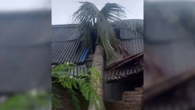 Rumah Warga di Sekotong Ambruk Akibat Cuaca Ekstrem