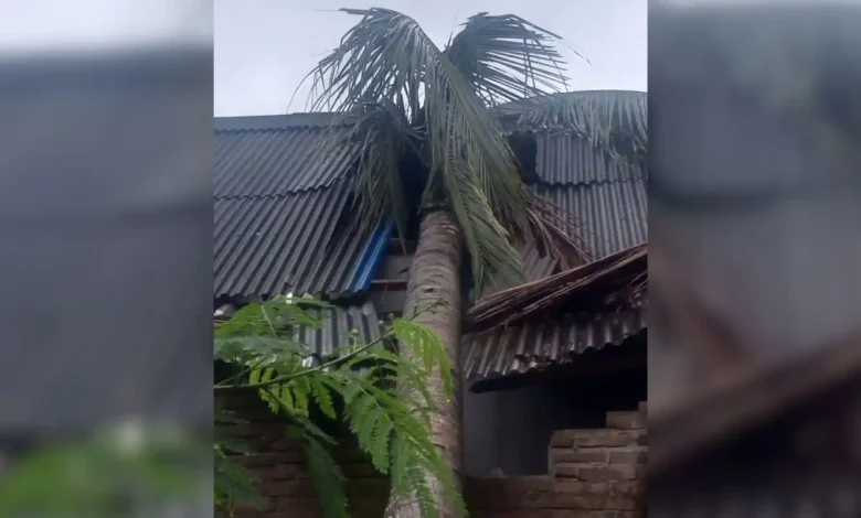 Rumah Warga di Sekotong Ambruk Akibat Cuaca Ekstrem