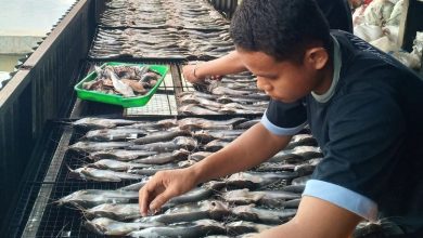 Lombok Timur Perkuat Wirausaha IKM Melalui Pendampingan Kemenperin