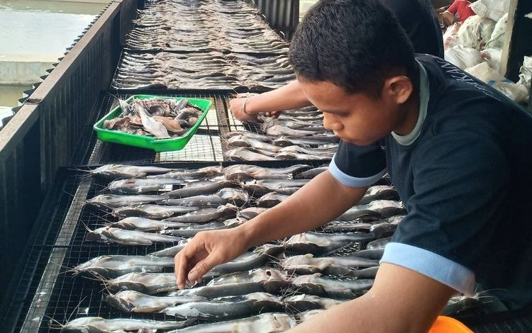 Lombok Timur Perkuat Wirausaha IKM Melalui Pendampingan Kemenperin