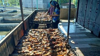 Program Hilirisasi Industri Dorong Peningkatan Nilai Tambah Ikan di Lombok Timur