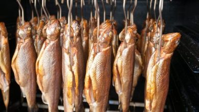 Pemerintah Pusat dan Lombok Timur Kolaborasi Tingkatkan Kualitas Olahan Ikan