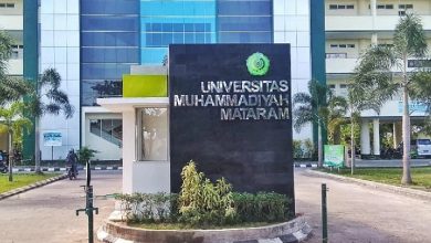 Universitas Muhammadiyah Mataram sebagai kampus swasta terbaik di NTB versi EduRank 2025.