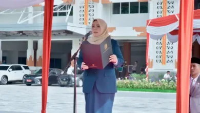 Wagub NTB Serukan Kebersamaan dan Keikhlasan pada Upacara Hari Pahlawan ke-80