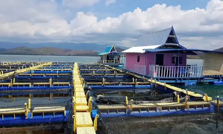 Kampung Nelayan Merah Putih di Pulau Bungin