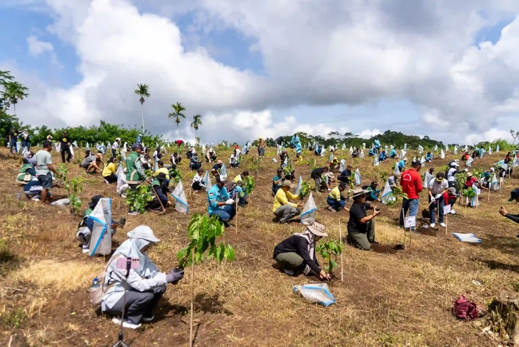 AMMAN Tanam 50 Ribu Lebih Bibit Pohon