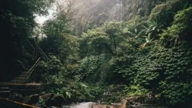 Pemkab Sumbawa Fokuskan Pengelolaan SDA Berkelanjutan
