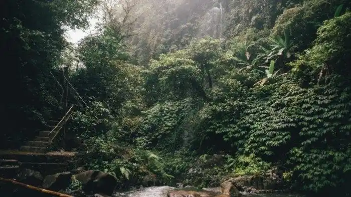 Pemkab Sumbawa Fokuskan Pengelolaan SDA Berkelanjutan