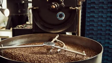 Ilustrasi pengolahan kopi di Sumbawa