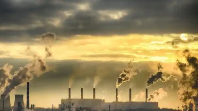 Pemkab Sumbawa Tetapkan Target Penurunan Intensitas Emisi Gas Rumah Kaca hingga 4,52 Persen pada 2030