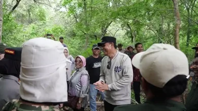 Bupati Jarot Sebut Moyo Satonda sebagai Aset Bernilai Tinggi Wujudkan Sumbawa Hijau