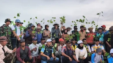 Program Penanaman Pohon Sumbawa Hijau Lestari