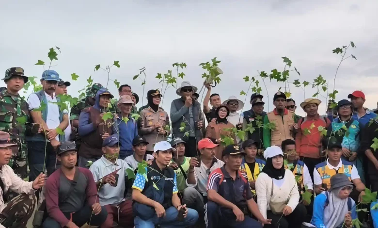 Program Penanaman Pohon Sumbawa Hijau Lestari