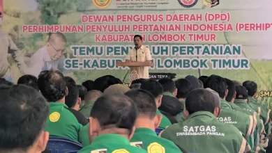 Bupati Lombok Timur Minta Produksi Kedelai Naik Signifikan