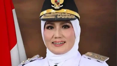 Wagub Babel Hellyana Tersangka Kasus Ijazah Palsu