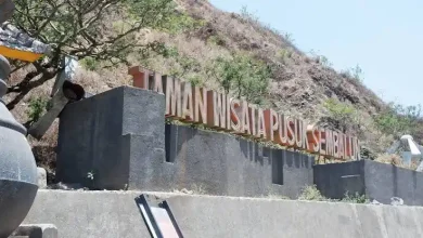 Taman Wisata Pusuk Sembalun