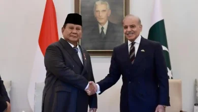 PM Pakistan Siap Kirim Dokter hingga Profesor ke Indonesia