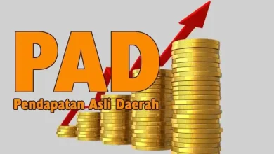 Realisasi PAD Lombok Timur 2025
