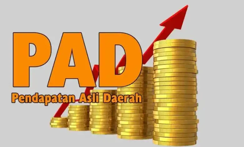 Realisasi PAD Lombok Timur 2025