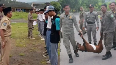 Keseharian Satpol PP Lombok Barat dan Kota Bima
