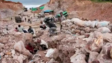 Tambang Emas Ilegal Sekotong