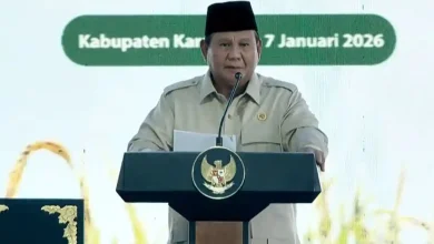 Prabowo Resmi Umumkan Indonesia Swasembada Pangan