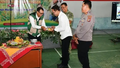 Pemkab Lotim Gelar Perayaan Swasembada Pangan