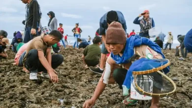 Festival Bau Nyale ‘’Calender Event’’ Lombok Tengah 2026