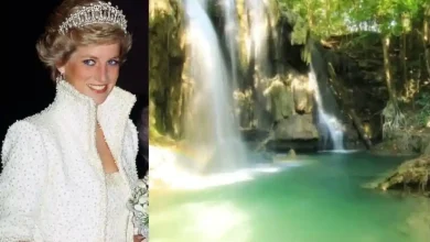 Pulau Moyo Jadi Pelarian Rahasia Lady Diana
