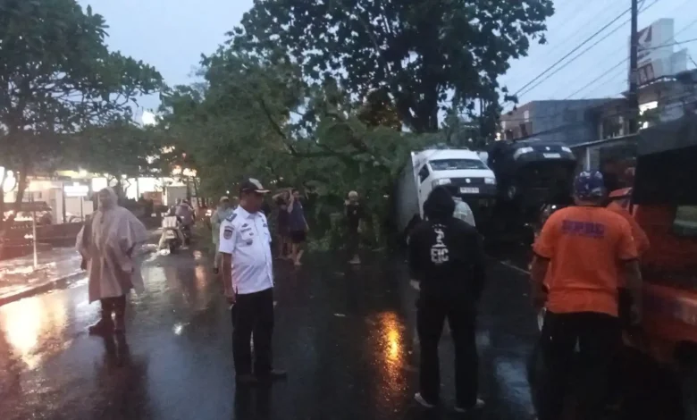 Dua Mobil Ringsek Tertimpa Pohon di Mataram