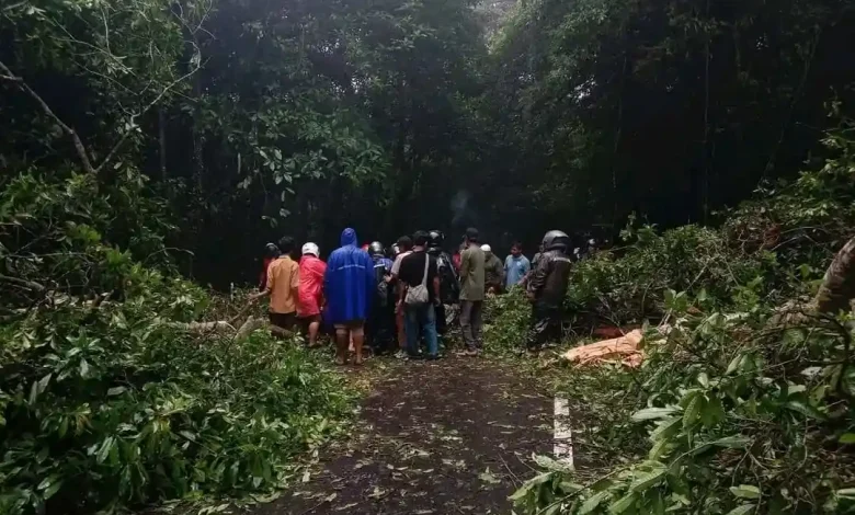 BMKG Imbau Wisatawan Sembalun Waspadai Ancaman Longsor di Dua Jalur Utama Lombok Timur