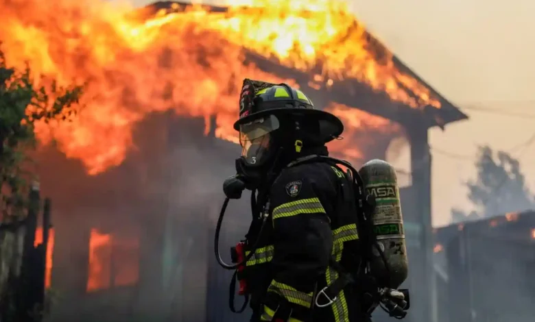 Kebakaran Hutan di Chili