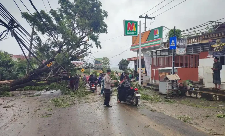 Pohon Tumbang Menimpa Kabel Listrik di Desa Prabu