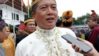 Gubernur Iqbal Apresiasi Program Sumbawa Hijau Lestari