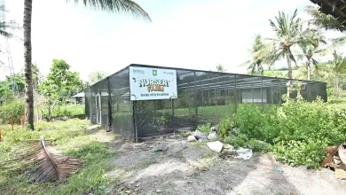 Nursery Farm Bank NTB Syariah di Sumbawa