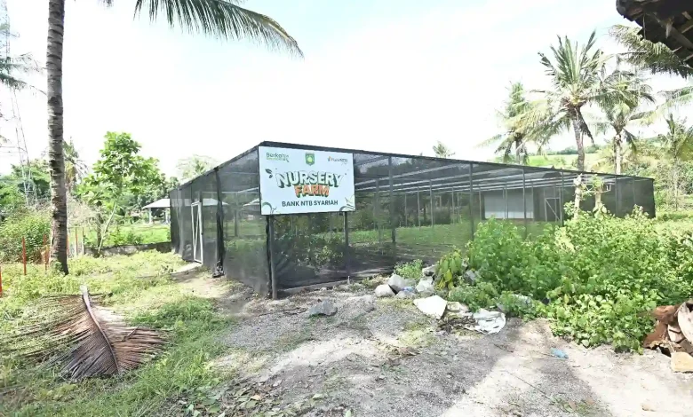 Nursery Farm Bank NTB Syariah di Sumbawa