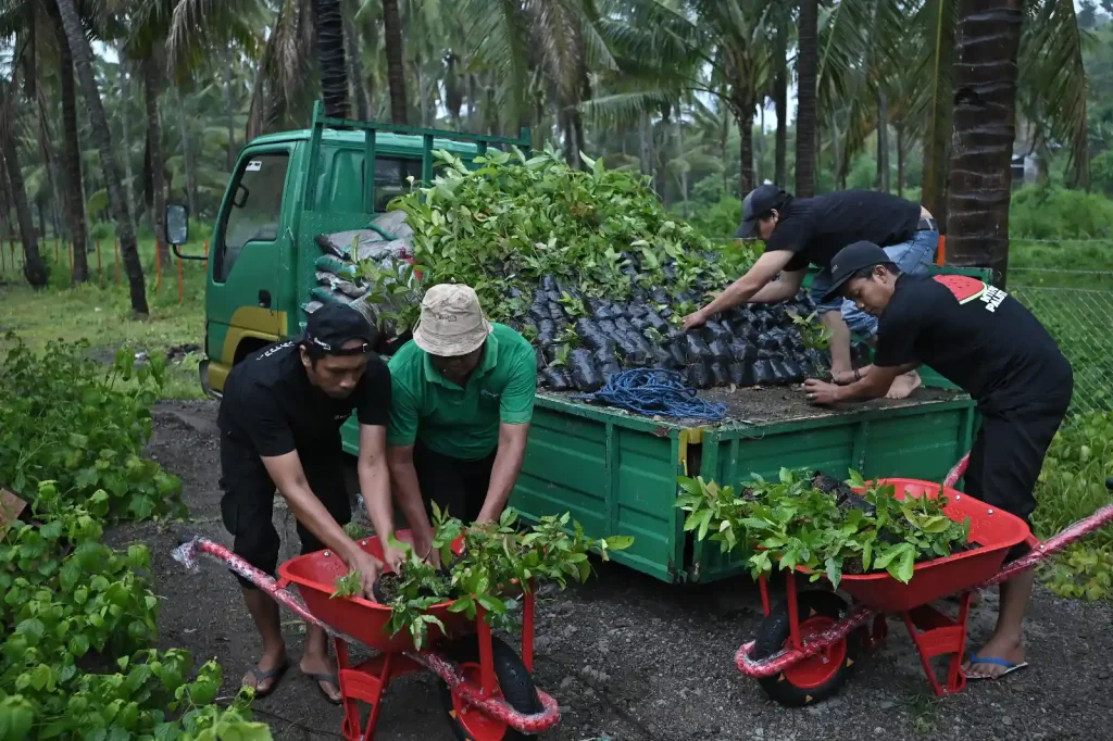 Nursery Farm Bank NTB Syariah di Sumbawa