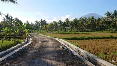 Irigasi pertanian di Lenek Lombok Timur