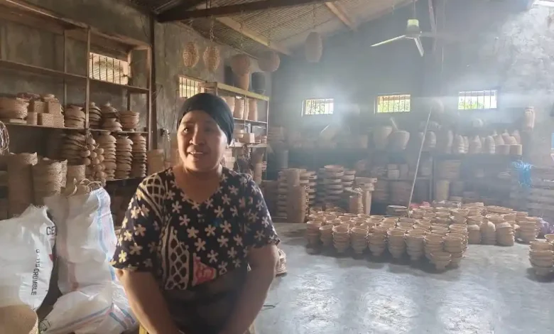 Jejak Baiq Sumardiani Membangun Ekonomi dari Rumah ke Hotel Berbintang