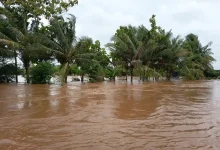 Bencana Landa NTB Januari 2026