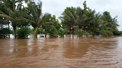 Bencana Landa NTB Januari 2026