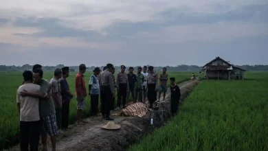 Lansia Ditemukan Meninggal di Gubuk Sawah Sumbawa